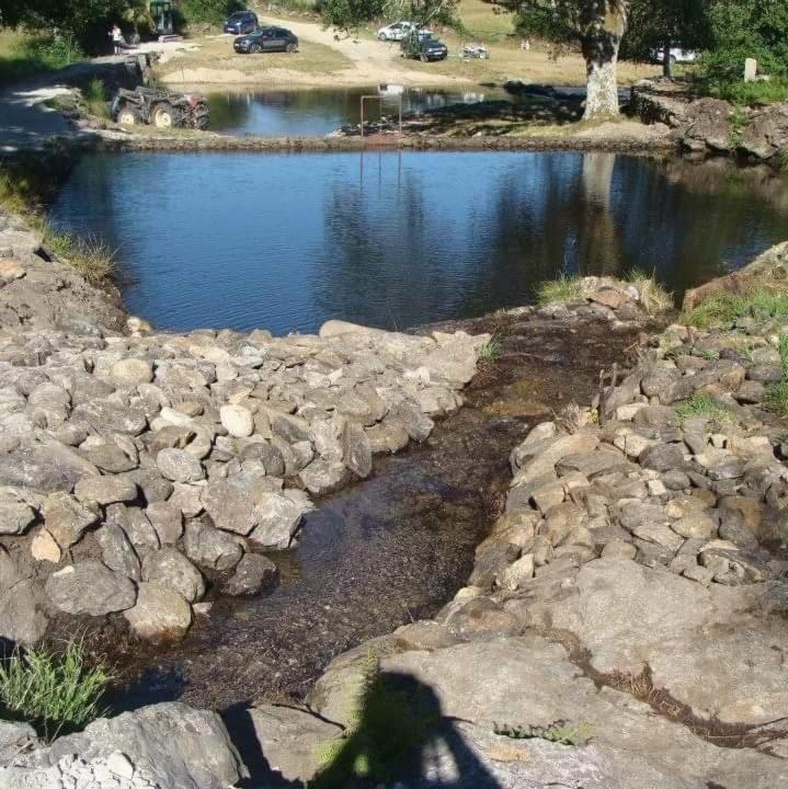 Ninho da Avó Selvagem Montalegre Exterior foto