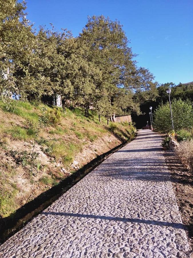 Ninho da Avó Selvagem Montalegre Exterior foto